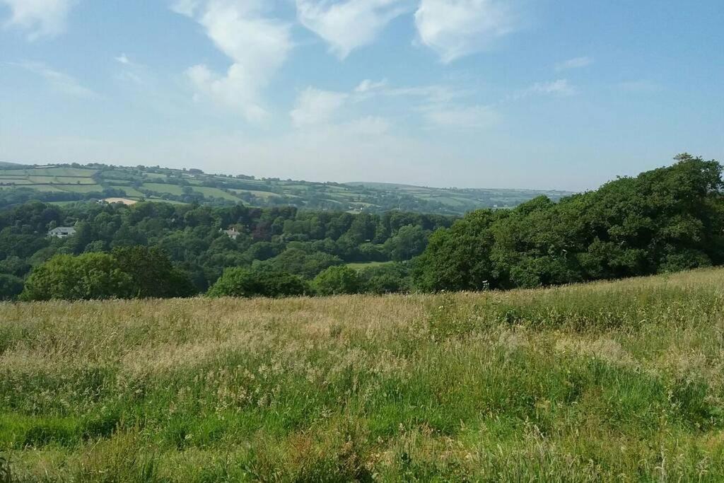 Stags View,Unique Eco Cabin, Dartmoor Views South Brent Exterior photo